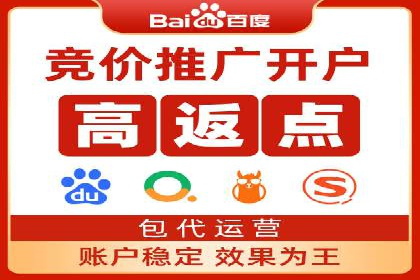 电商行业SEM运营的挑战与成功案例